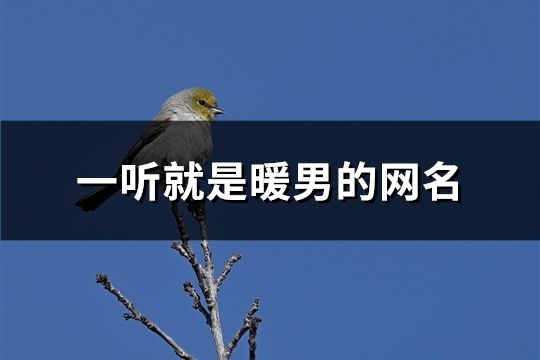 一聽就是暖男的網(wǎng)名(48個)