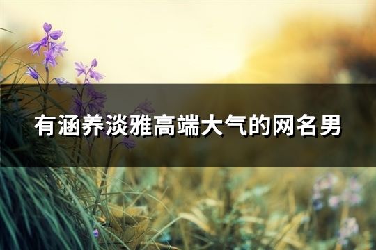 有涵養淡雅高端大氣的網名男(共54個)