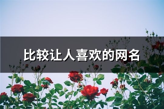 比較讓人喜歡的網(wǎng)名(共41個(gè))