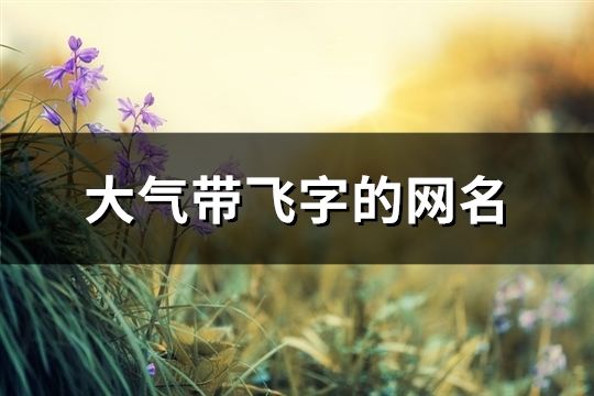 大氣帶飛字的網名(38個) 大氣帶飛字的網名(38個)