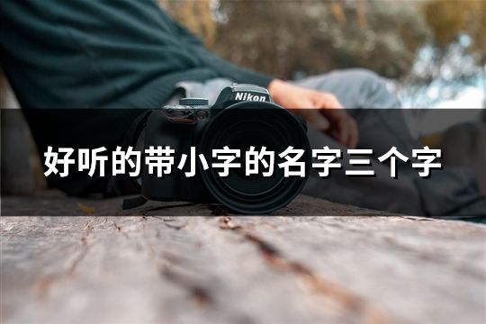 好聽的帶小字的名字三個字(44個) 好聽的帶小字的名字三個字(44個)