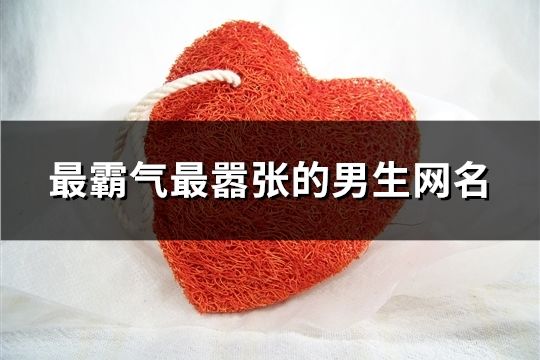 最霸氣最囂張的男生網(wǎng)名(107個)