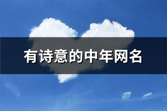 有詩意的中年網名(精選195個)