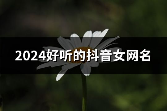 2024好聽的抖音女網(wǎng)名(127個)