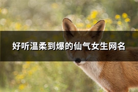 好聽溫柔到爆的仙氣女生網(wǎng)名(共140個)