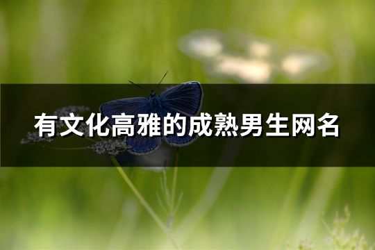 有文化高雅的成熟男生網名(169個)