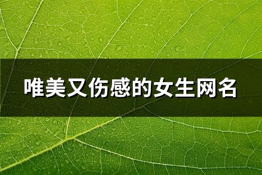 唯美又傷感的女生網名(69個)