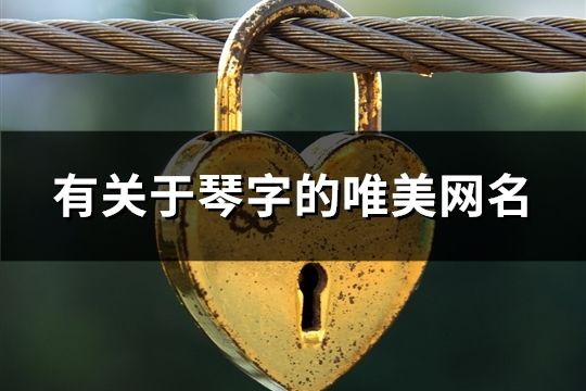 有關(guān)于琴字的唯美網(wǎng)名(精選73個(gè))