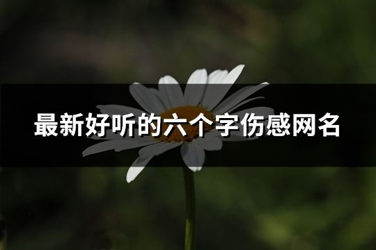 最新好聽的六個字傷感網名(共82個)