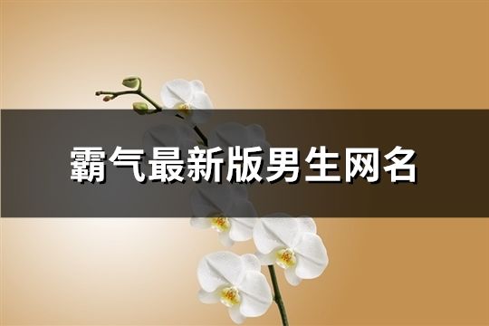 霸氣最新版男生網(wǎng)名(精選70個(gè))