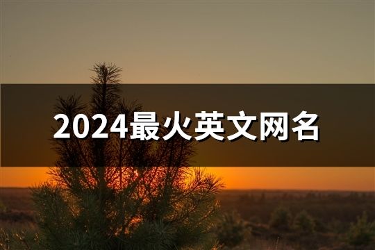 2024最火英文網名(69個)