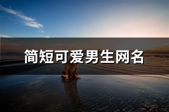 簡短可愛男生網名(精選77個)