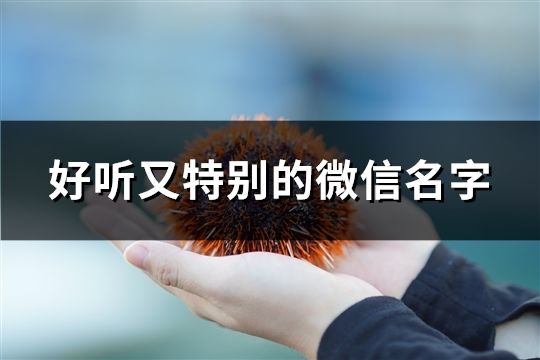 好聽又特別的微信名字(精選54個)