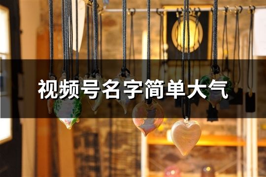 視頻號名字簡單大氣(50個)
