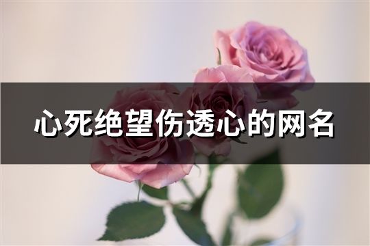 心死絕望傷透心的網(wǎng)名(精選169個(gè))
