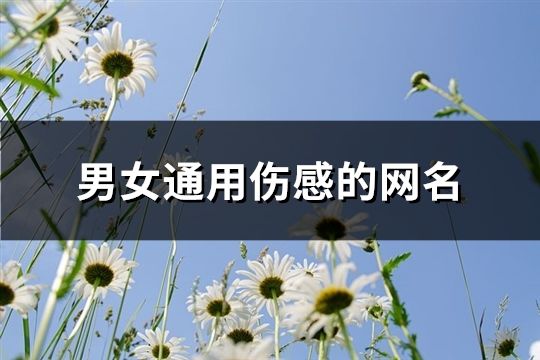 男女通用傷感的網名(135個)