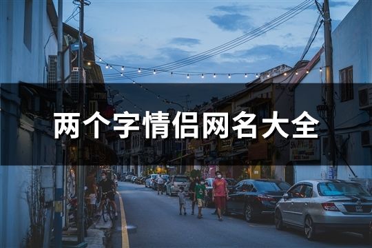 兩個字情侶網名大全(精選175個)
