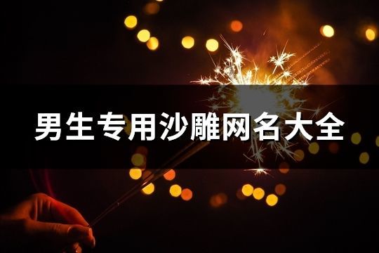 男生專用沙雕網(wǎng)名大全(共82個(gè))