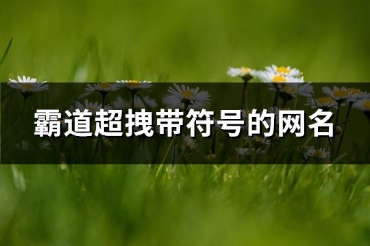 霸道超拽帶符號的網名(精選106個)