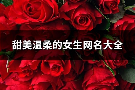 甜美溫柔的女生網名大全(171個)