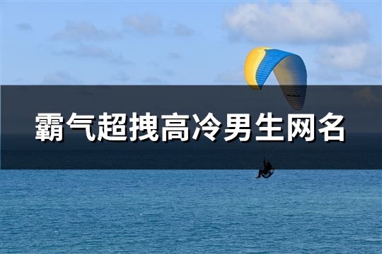 霸氣超拽高冷男生網名(共149個)