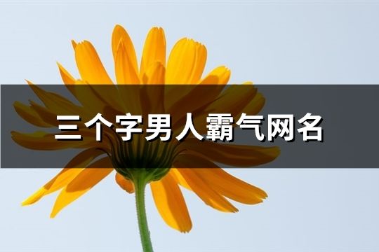三個字男人霸氣網名(92個)