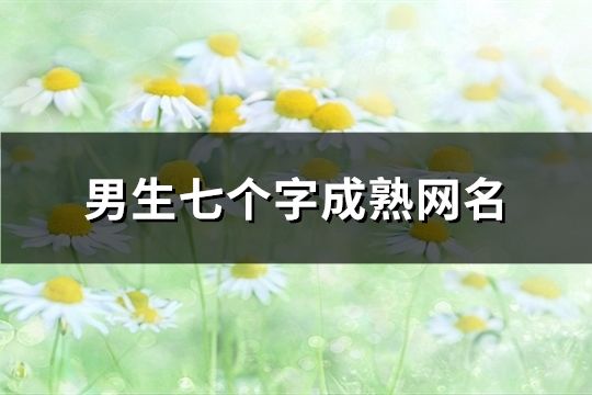 男生七個(gè)字成熟網(wǎng)名(172個(gè))