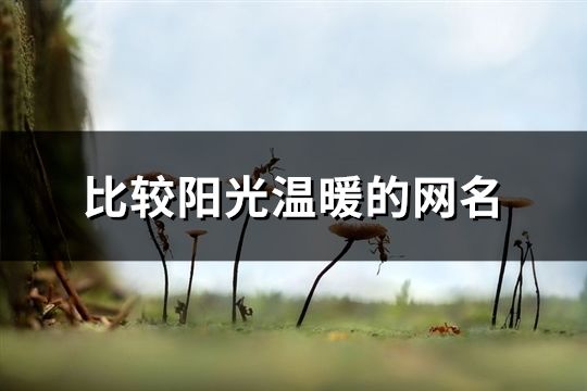比較陽光溫暖的網名(精選80個)