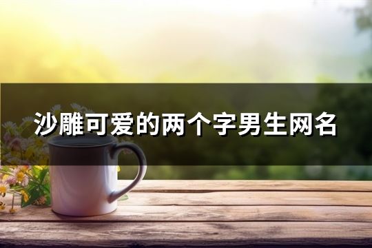 沙雕可愛的兩個字男生網名(精選191個)