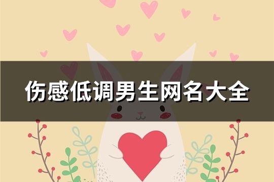 傷感低調男生網名大全(共153個)