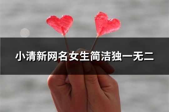小清新網(wǎng)名女生簡潔獨一無二(精選33個)