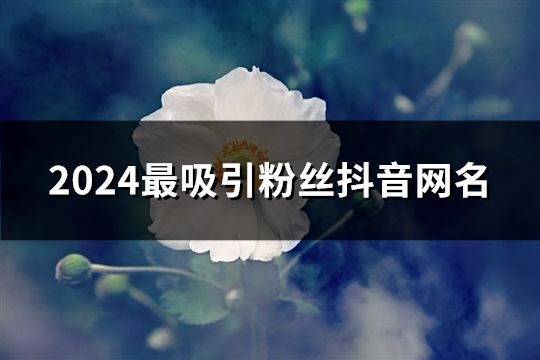 2024最吸引粉絲抖音網名(43個) 2024最吸引粉絲抖音網名(43個)