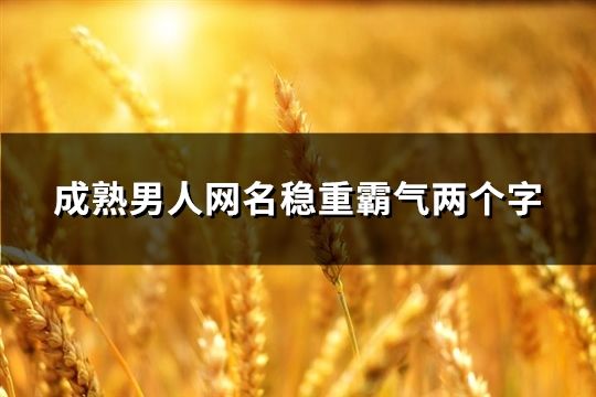 成熟男人網(wǎng)名穩(wěn)重霸氣兩個(gè)字(共42個(gè))