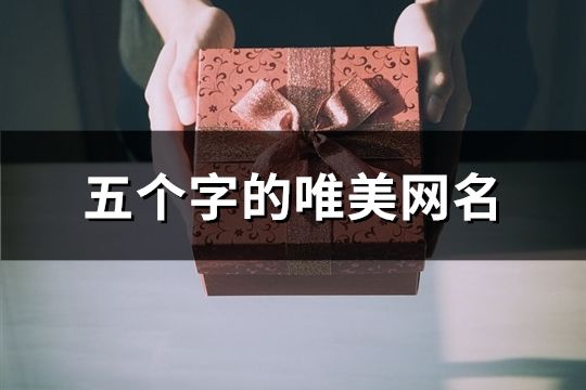五個字的唯美網名(精選133個)