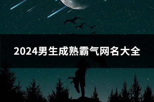 2024男生成熟霸氣網名大全(138個)