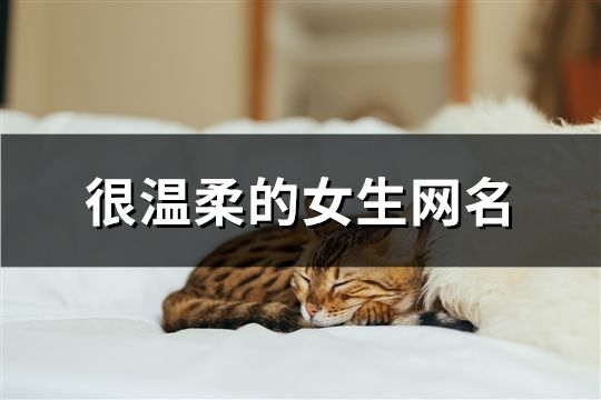 很溫柔的女生網名(155個)