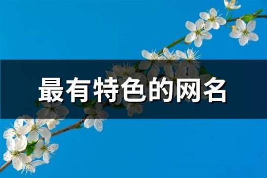 最有特色的網名(共94個)