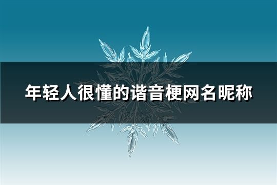 年輕人很懂的諧音梗網名昵稱