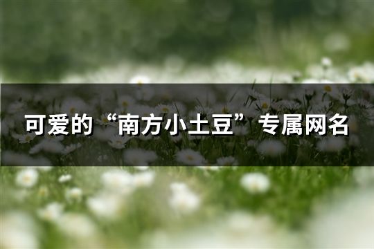 可愛(ài)的“南方小土豆”專(zhuān)屬網(wǎng)名 可愛(ài)的“南方小土豆”專(zhuān)屬網(wǎng)名