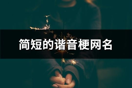 簡短的諧音梗網名(共72個)