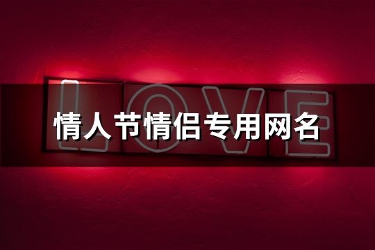 情人節(jié)情侶專用網(wǎng)名(共147個)