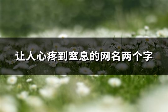 讓人心疼到窒息的網名兩個字(精選35個)