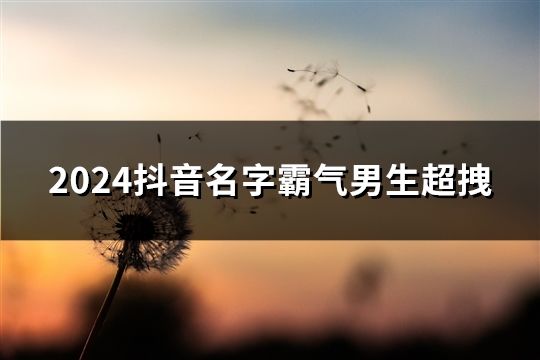 2024抖音名字霸氣男生超拽(共36個) 2024抖音名字霸氣男生超拽(共36個)