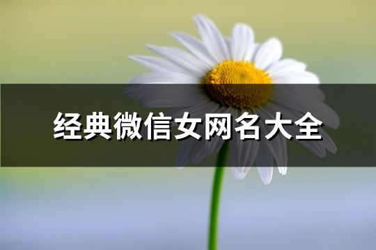 經典微信女網名大全(共108個)