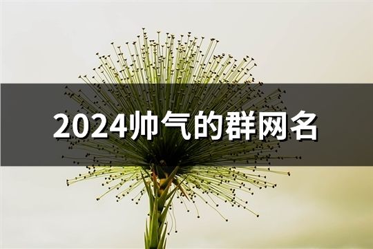 2024帥氣的群網(wǎng)名(184個)