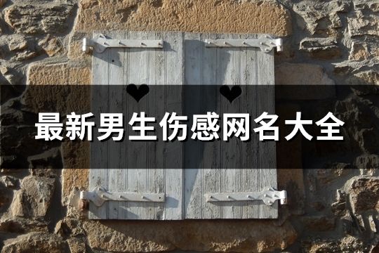 最新男生傷感網(wǎng)名大全(151個(gè))