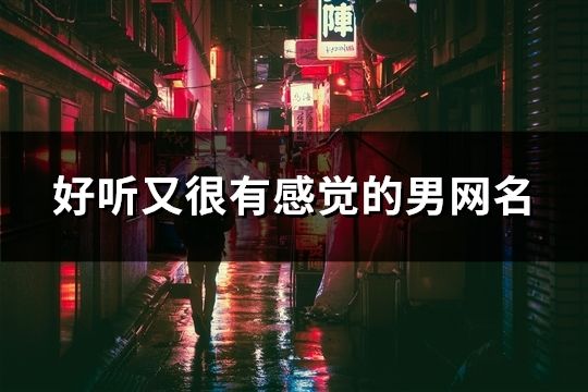 好聽又很有感覺的男網名(共153個)