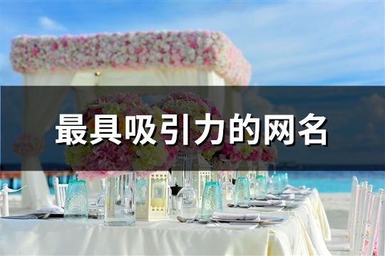 最具吸引力的網(wǎng)名(精選63個(gè))