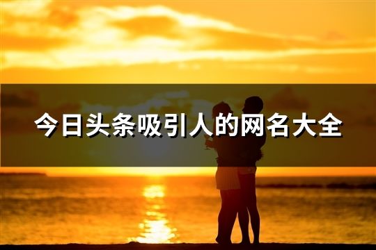 今日頭條吸引人的網(wǎng)名大全(38個(gè))