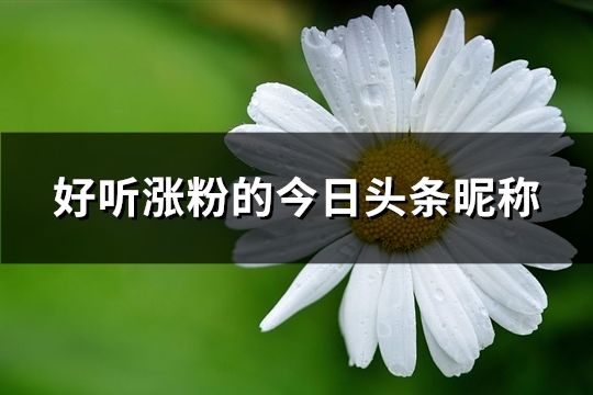 好聽漲粉的今日頭條昵稱(精選37個) 好聽漲粉的今日頭條昵稱(精選37個)